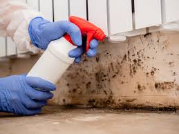 Why You Should Choose Our Mold Remediation Services in Iola, WI